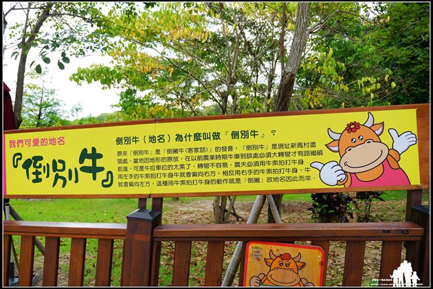 6 (複製)