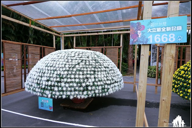 6 (複製)
