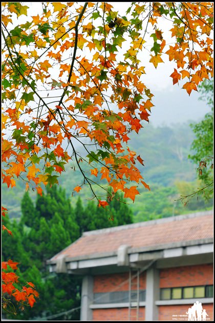 7 (複製)