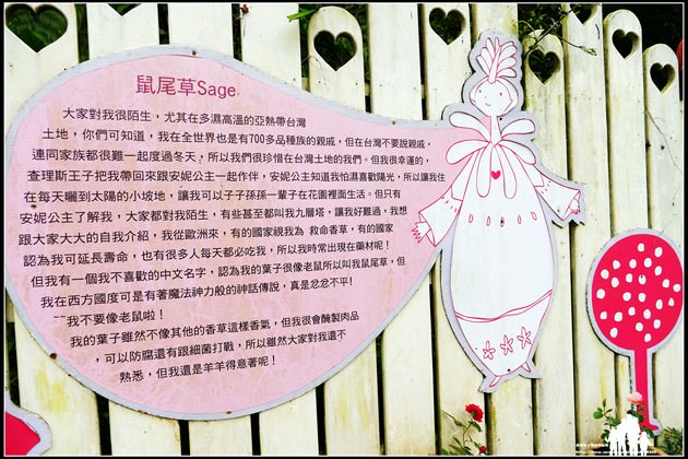 9 (複製)