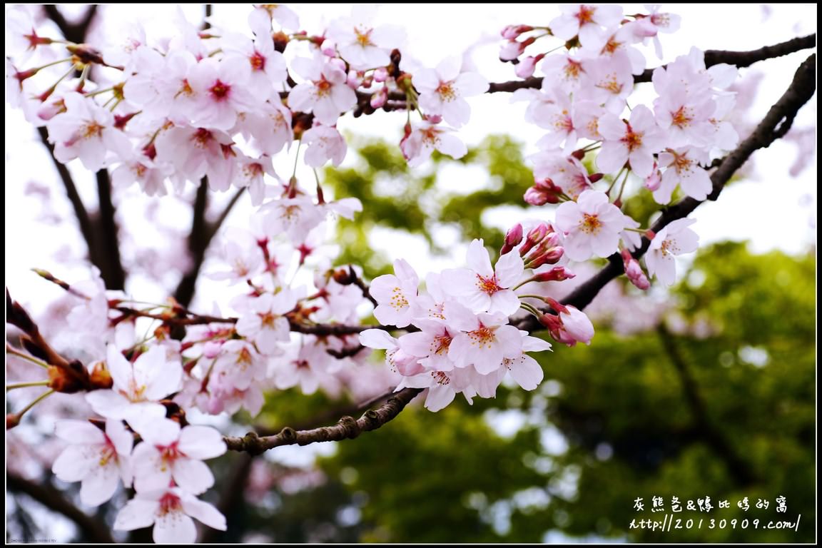 10 (复制)