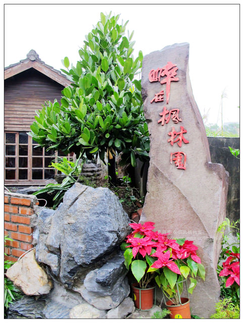 桃園區美食【新楓林園】都市內景觀餐廳/令人讚歎的世外桃花源~